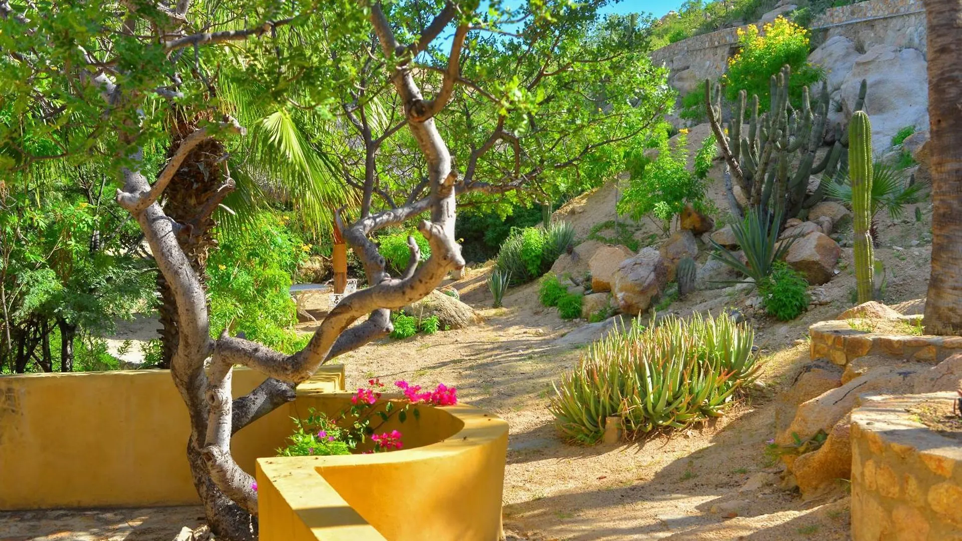 Villa Los Geckos By Cabo Villas 카보산루카스 멕시코